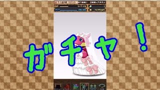 【パズドラ】ジューンブライドガチャ 2回