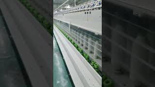 Production of cotton yarn on an automated line #factory #cotton #trend #shorts #usa #youtubeshorts