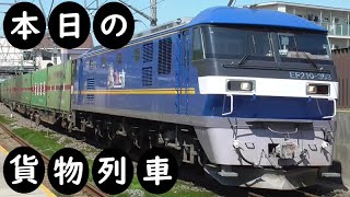 【本日の貨物列車】No.1207　2024,2,25　第59番列車　Today‘s freight train