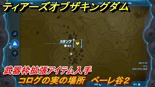 ティアキン　コログの実の場所　ベーレ谷２　武器枠拡張アイテム入手　＃１２６７　【ゼルダの伝説ティアーズオブザキングダム】