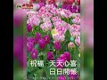 111.04.26週二早安