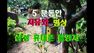 삼성휴대폰촬영지로 더욱더 유명해진 평사리의 아침 5분간 감상해보기