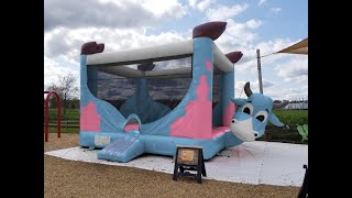 Indoor Inflatable Cow Jumping Castle