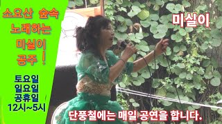 🍁소요산 주말정기공연! 노래하는 미실이(2020.8.17)