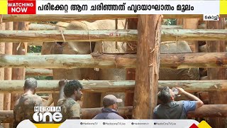 കോടനാട് ചികിത്സയിലിരിക്കെ ചരിഞ്ഞ ആനയുടെ പോസ്റ്റ്മോർട്ടം പൂർത്തിയായി; മരണകാരണം ഹൃദയാഘാതം