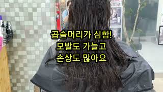 대구미용실 손상머리 복구매직 c컬로 곱슬완전 잘펴드렸어요