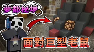 【Minecraft】錯綜複雜老鼠洞，決戰巨型老鼠！小型CTM冒險地圖 -夢都秘境 Feat.殞月Dmoon、捷克PXJ、哈記｜我的世界【熊貓團團】