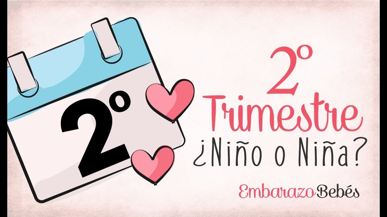 TRIMESTRE 2 De #Embarazo | Segundo Trimestre - YouTube