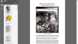 Beginning-Family-History-Downloadable-Report-preview.wmv