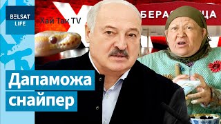 Штучны інтэлект прадказаў лёс Лукашэнкі ў 2030 годзе. Смешны выпадак на мяжы Беларусі / Хай Так TV