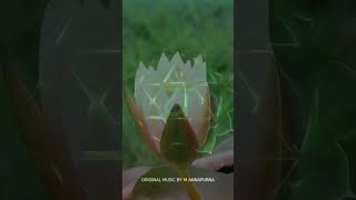 1 min Heart Chakra Meditation #749hz Anahata REMOVE EMOTIONAL BLOCKS