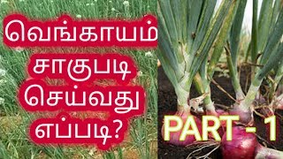 வெங்காயம் சாகுபடி செய்வது எப்படி? Part-1Cultivation of onions? Part-1 Venkayam cakupaṭi Part-1