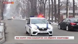 Мас болуп унаа башкарган 320 айдоочу аныкталды