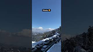 Shimla in December | #travelvlog #shimla #snowfall