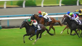 タイムフライヤーが萩ステークス快勝。現地映像、京都競馬場