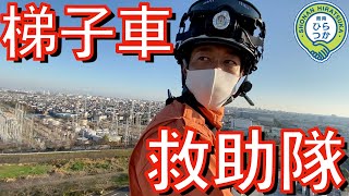 【はしご車】災害時に活躍する乗り物【平塚市】