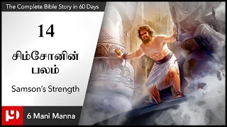 14.சிம்சோனின் பலம் / Samson's Strength / The Complete Bible Story in 60 days