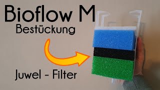 Juwel Bioflow M bestücken (107)