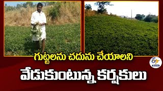 Villagers Requesting to Flatten Hills | Narayanpet | గుట్టలను చదును చేయాలని వేడుకుంటున్న కర్షకులు