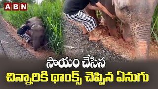 సాయం చేసిన చిన్నారికి థాంక్స్ చెప్పిన ఏనుగు..|| ELEPHANT || ABN Digital