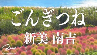 【名作朗読】新美南吉『ごんぎつね』【眠くなる声・読み聞かせ・睡眠導入】