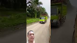 Pesona truck sawit yg luar biasa.#trucksawit.#driversawit.#pejuangrupiah.#shortvideo.#fypyoutube