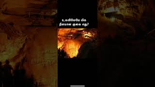 உலகிலேயே மிக நீளமான குகை | longest cave in the world #youtubeshorts #shortfeed #shorts #viral #gk