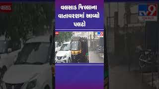 વલસાડ જિલ્લાના વાતાવરણમાં આવ્યો પલટો | #gujaratrain #valsad #gujarat #tv9gujarati #shorts