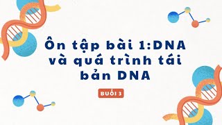 Ôn tập bài 1: DNA và quá trình tái bản DNA (Buổi 3)