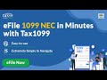 simplified efiling tax1099 s easy efiling for 1099 nec