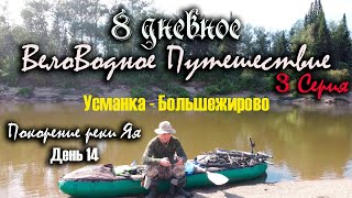 Сплав Усманка - Большежирово, река Яя. 8 дневное вело-водное путешествие. Покорение реки Яя, день 14