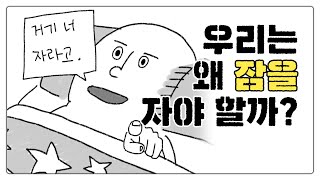 99초 안에 ‘우리는 왜 잠을 자야 할까’ 요약해 준다 | 이것만 보고 얼른 주무세요ㅠ