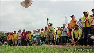 geger geger liga lumajang jember bersatu #lomba merpati balap