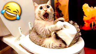 Funniest Dogs & Cats for 1 Hour😂 Hilarious Animals 2023🐶🐱