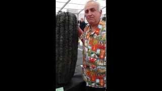 Giant Veg: Ian Neale Harrogate Show 2015