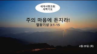 세계사랑교회 생방송 새벽예배 | 2024.4.8 | 백경삼담임목사