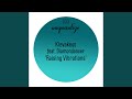 Raising Vibrations (Klevakeys 2015 Remix)
