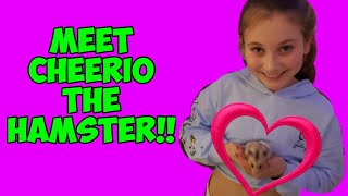 Our new hamster, plus savic hamster heaven cage tour / review.