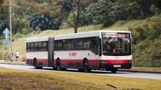 Best of SG Buses - ZF Ecomat