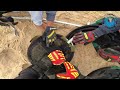 baby seal caught in hobby fishing line