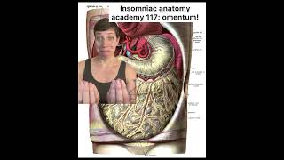 Insomniac anatomy academy 117: omentum! #science #stem #medicine #stemeducation #sciencefacts