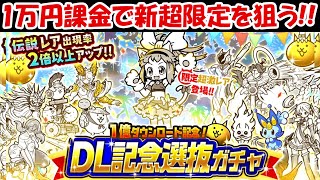 【にゃんこ大戦争】1万円課金で新限定超激レアのこねこを狙う！！