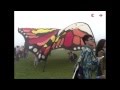 6000 long kite flown at int'l kite festival in Chongqin, SW China