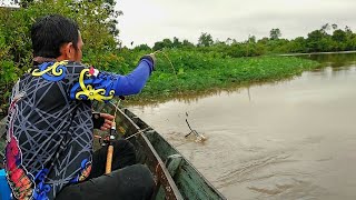 Lama tak di pancing! spot ini masih banyak udang galah besarnnya saat curah hujan tinggi