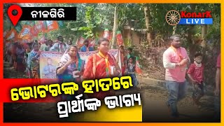 ଜୋରଦାର ଚାଲିଛି ନିର୍ବାଚନ ପ୍ରଚାର, ନୀଳଗିରି || BALASORE NEWS