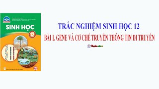 Trắc nghiệm Sinh 12| Bài 1 Gene và cơ chế truyền thông tin di truyền