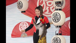 猿回し　三和音　ハヤテ君、楽器を演奏 !!!　神戸モンキーズ劇場