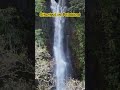 kerala keralatourism palakkad ytshorts waterfall nature friendship beautiful droneshots