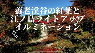 ちょこっとドライブ　養老渓谷\u0026江ノ島