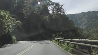 宜專1線 太平山國家森林遊樂區 上山路程景